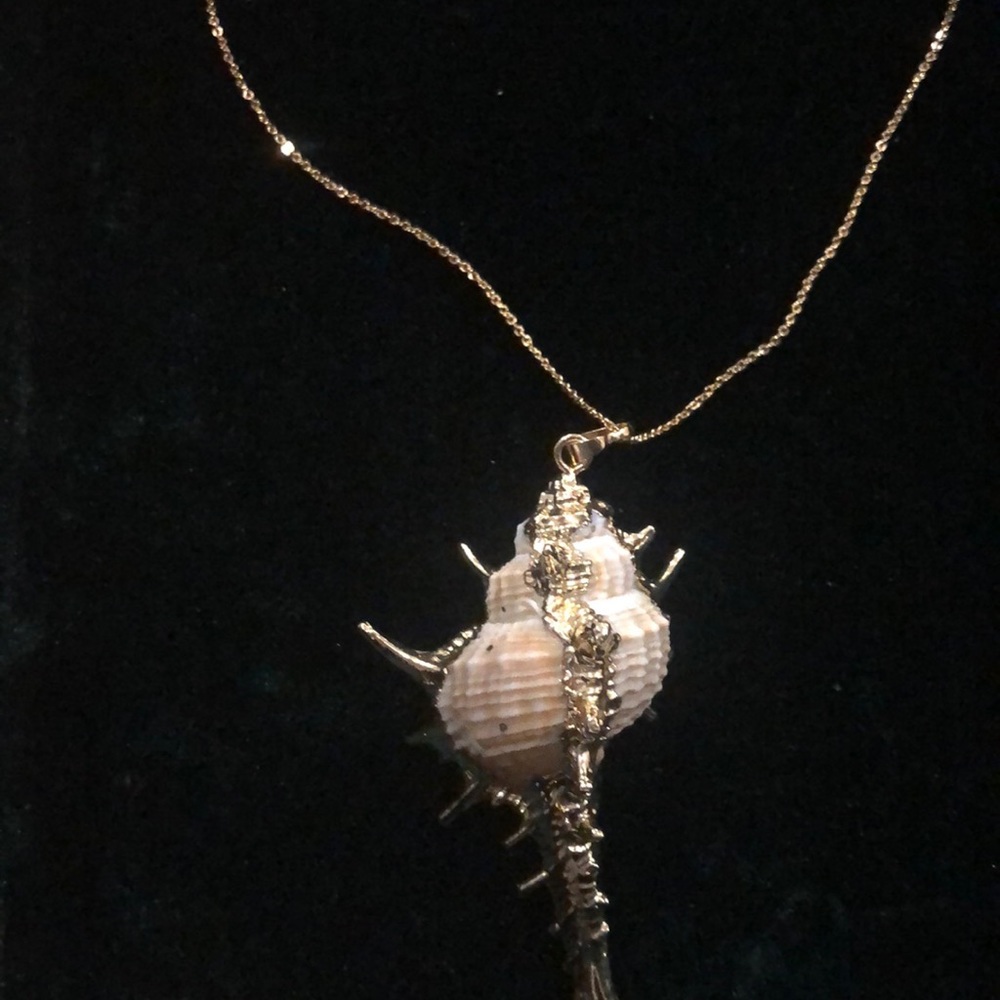 14kt gold plated conch shell necklace